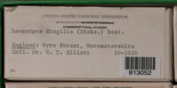 Image Associated With the Occurrence